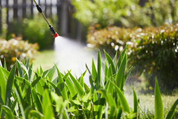 24/7 Emergency Wasp Removal experts in Stuarts Draft, VA