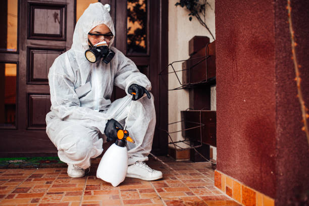 Reliable Wasp Removal contractor in Stuarts Draft, VA by Show Me Pest Control