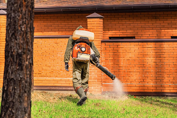 Top rated local Wasp Removal specialists in Stuarts Draft, VA